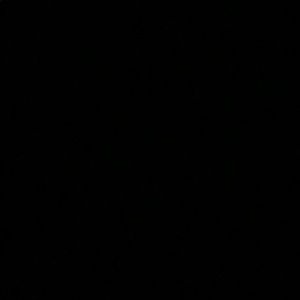 Meet your Posher, Georgette